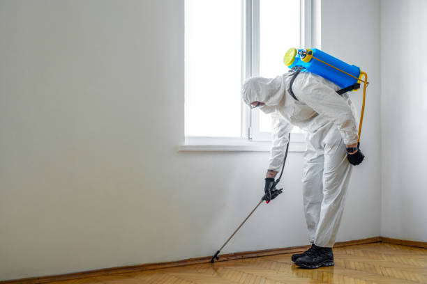 Wasp Removal Services in Kimball, NE